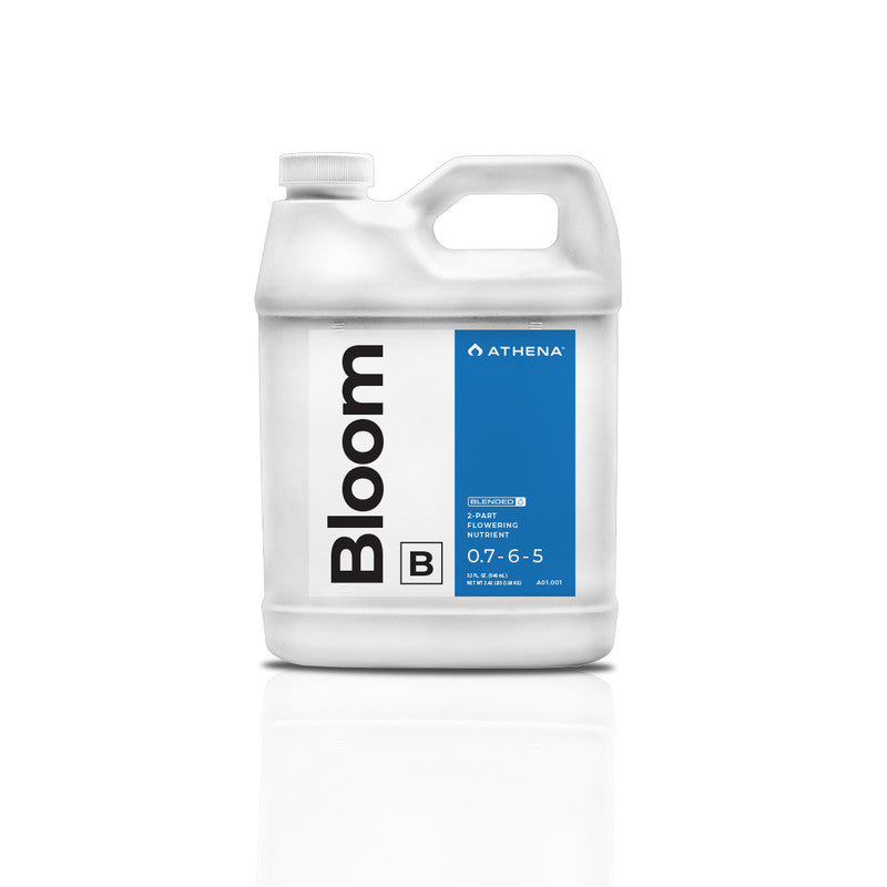 Blended Bloom B
