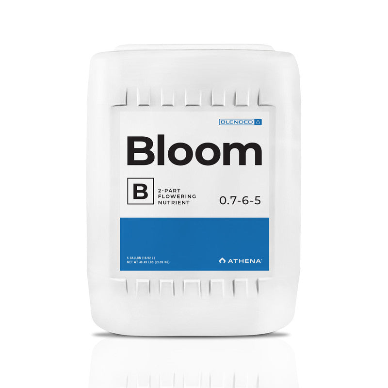 Blended Bloom B