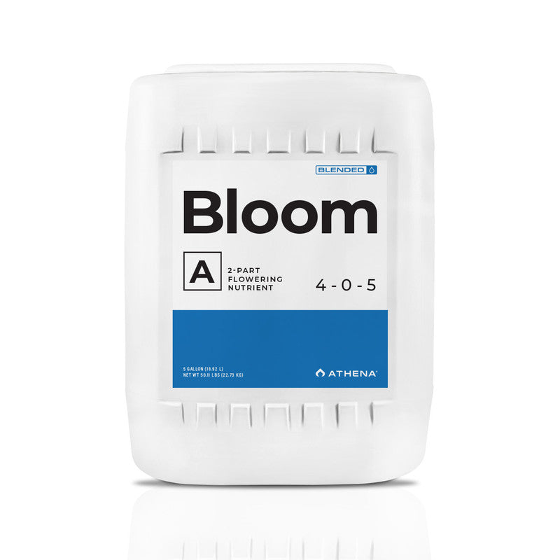 Blended Bloom A