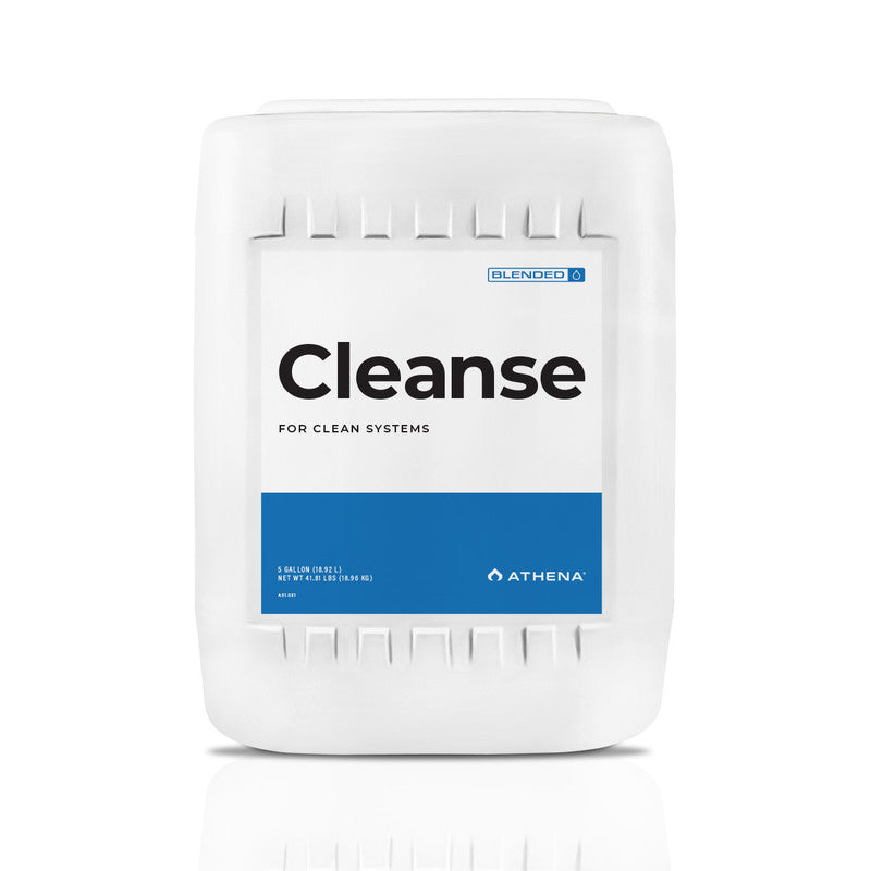 Blended Cleanse