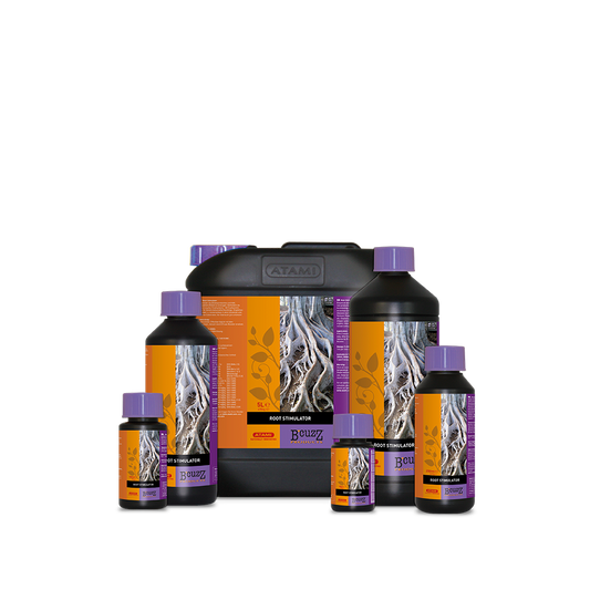 B'cuzz Root Stimulator