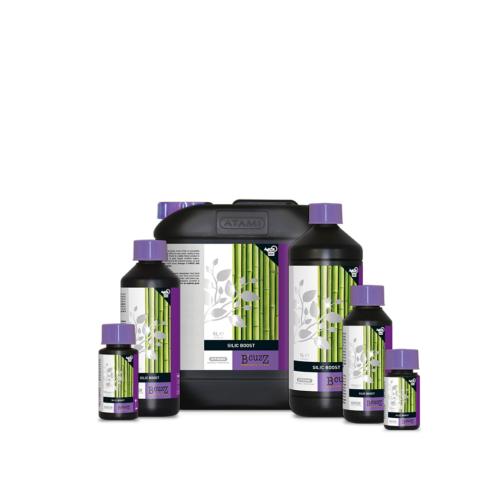 B'cuzz Silic Boost