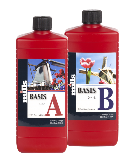 Basis A&B