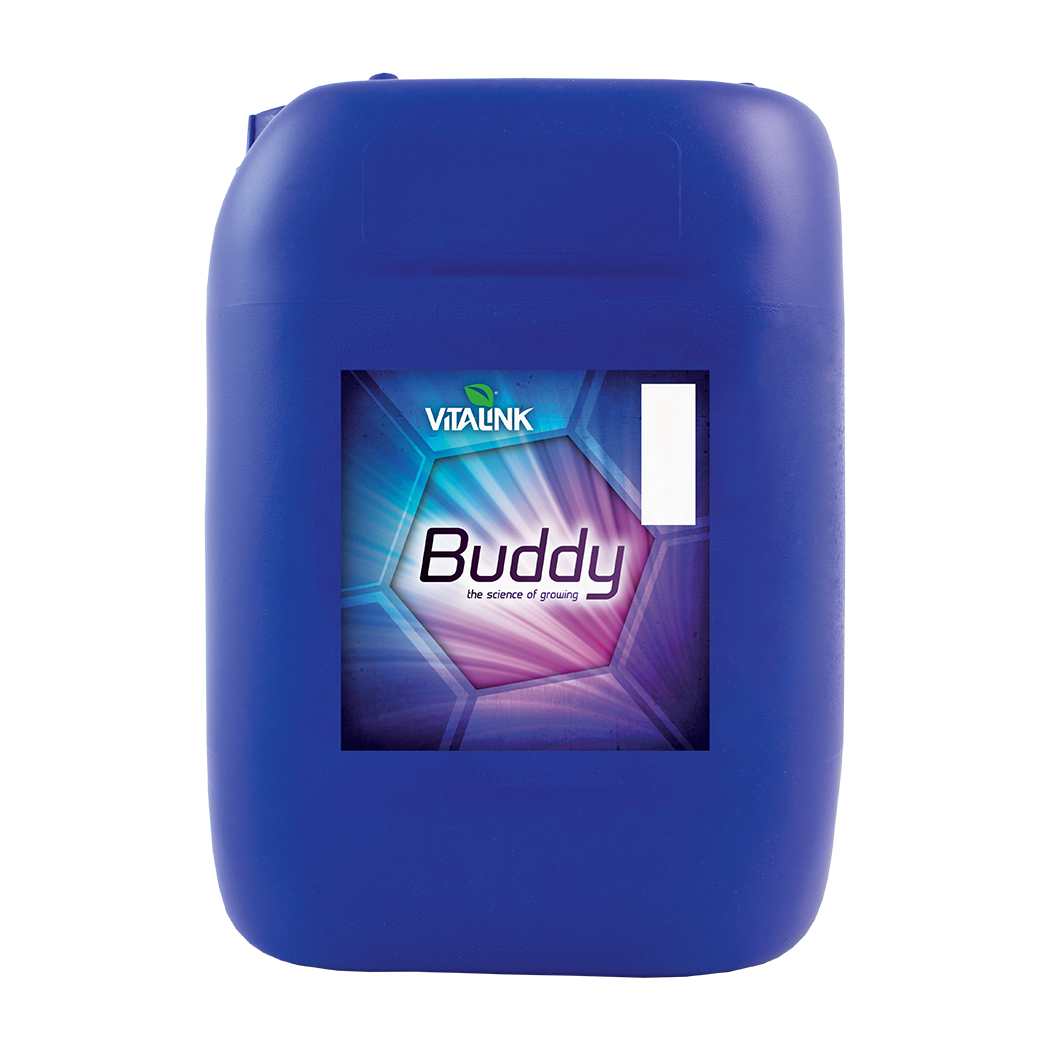 Blue container with 'Vitalink Buddy' branding on a white background