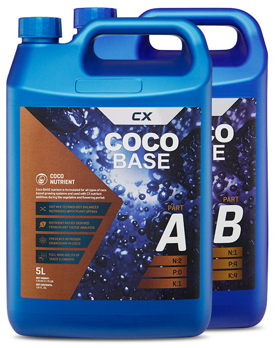Coco Base A&B