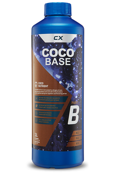 Coco Base A&B