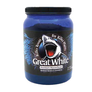 Great White Mycorrhizae