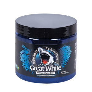 Great White Mycorrhizae
