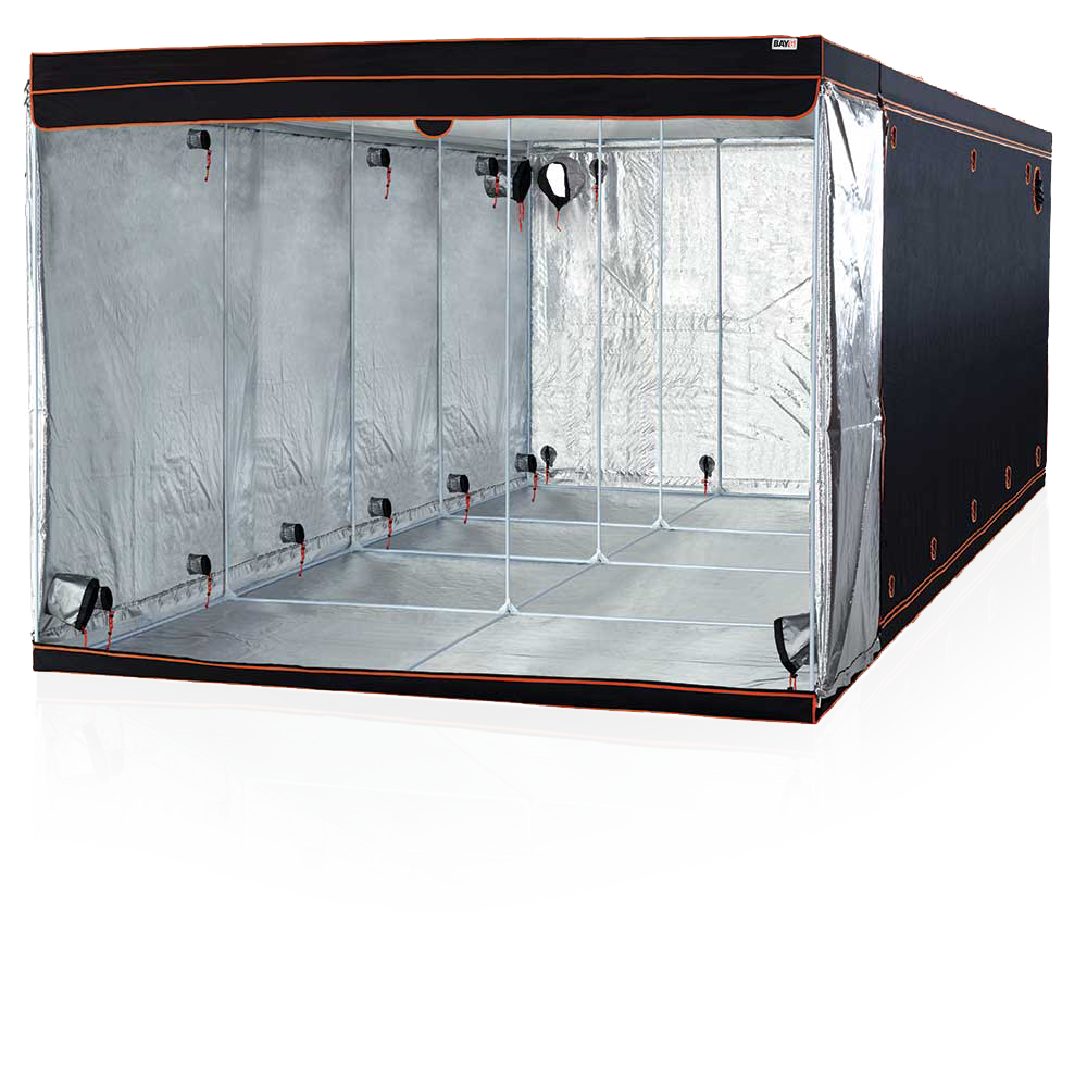 Black and clear grow tent with reflective interior on a white background