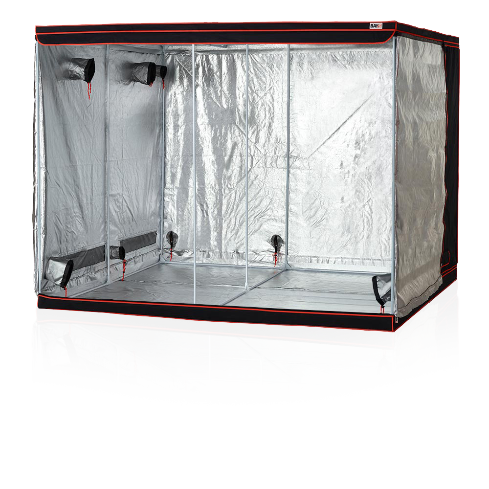 Glowing red object with a black outline on a white background