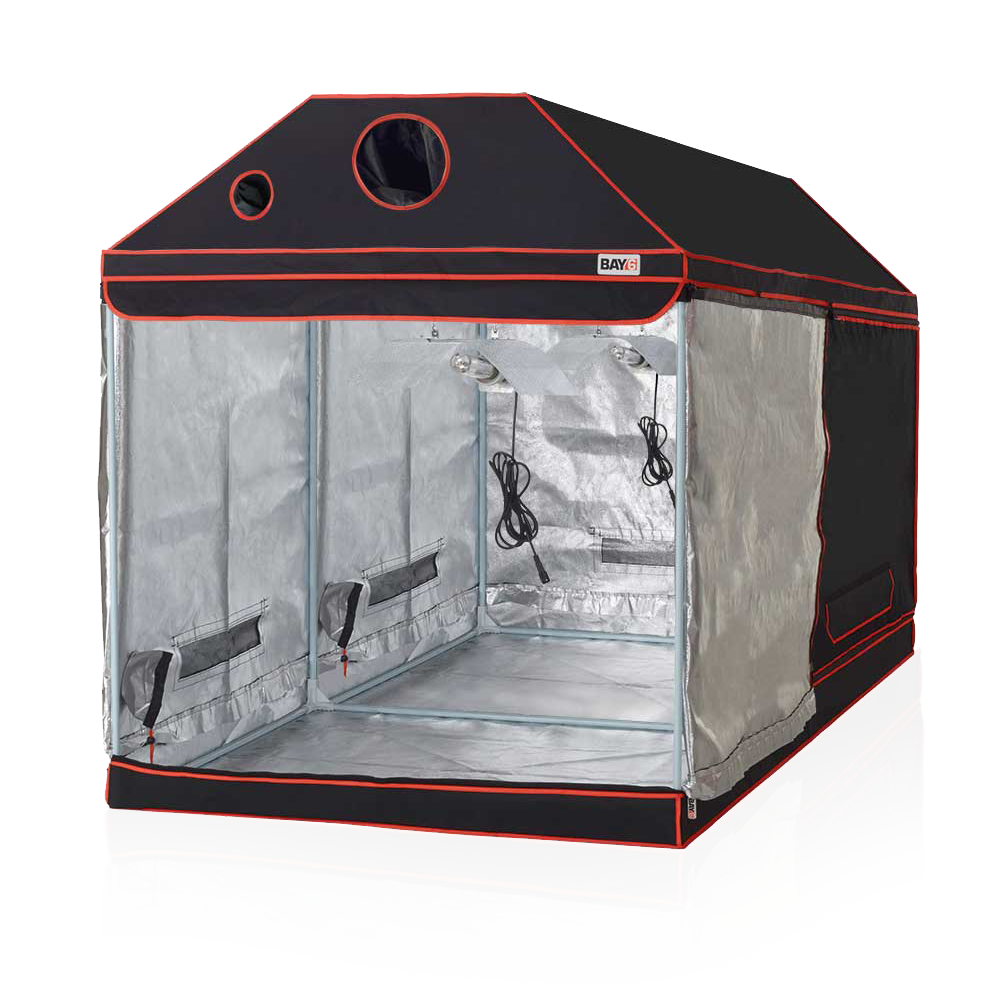 Black and red grow tent with transparent sides on a white background
