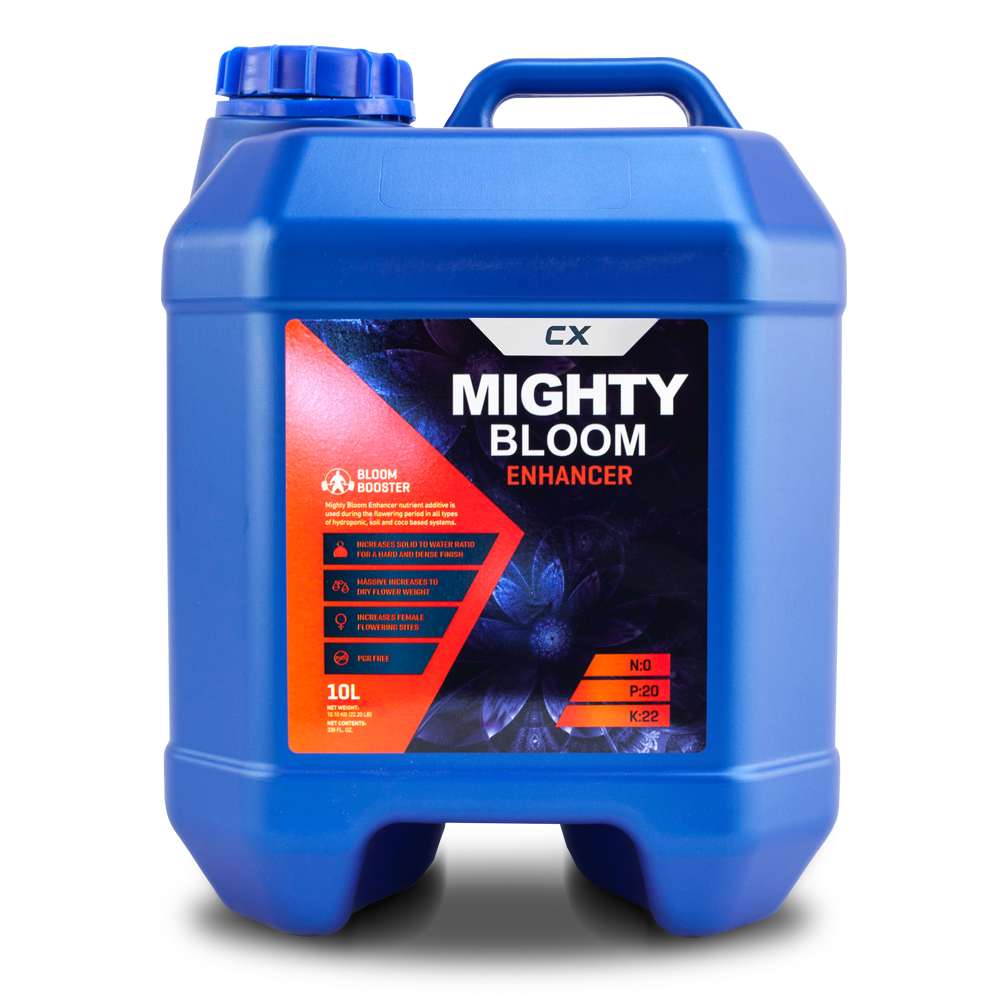 Mighty Bloom