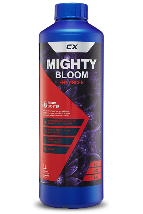Mighty Bloom