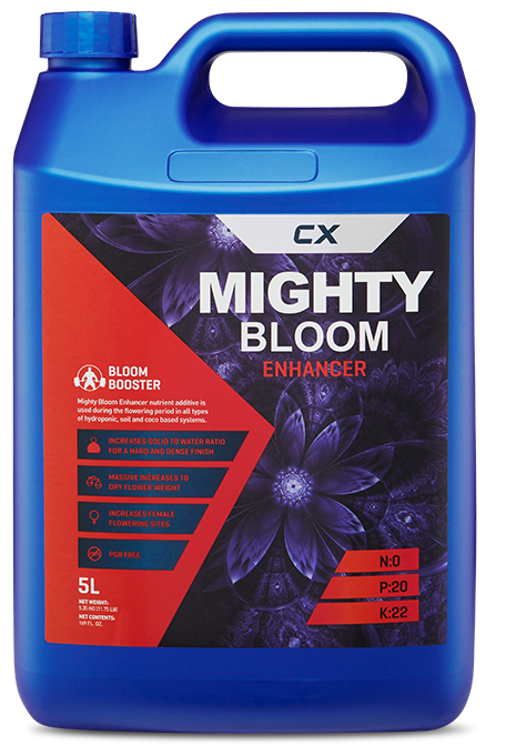 Mighty Bloom