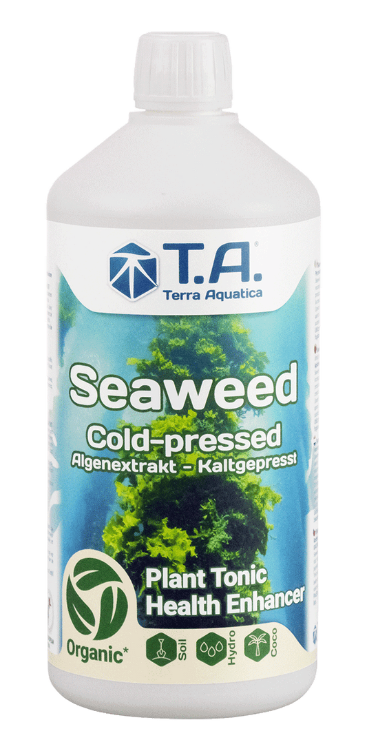 Seaweed