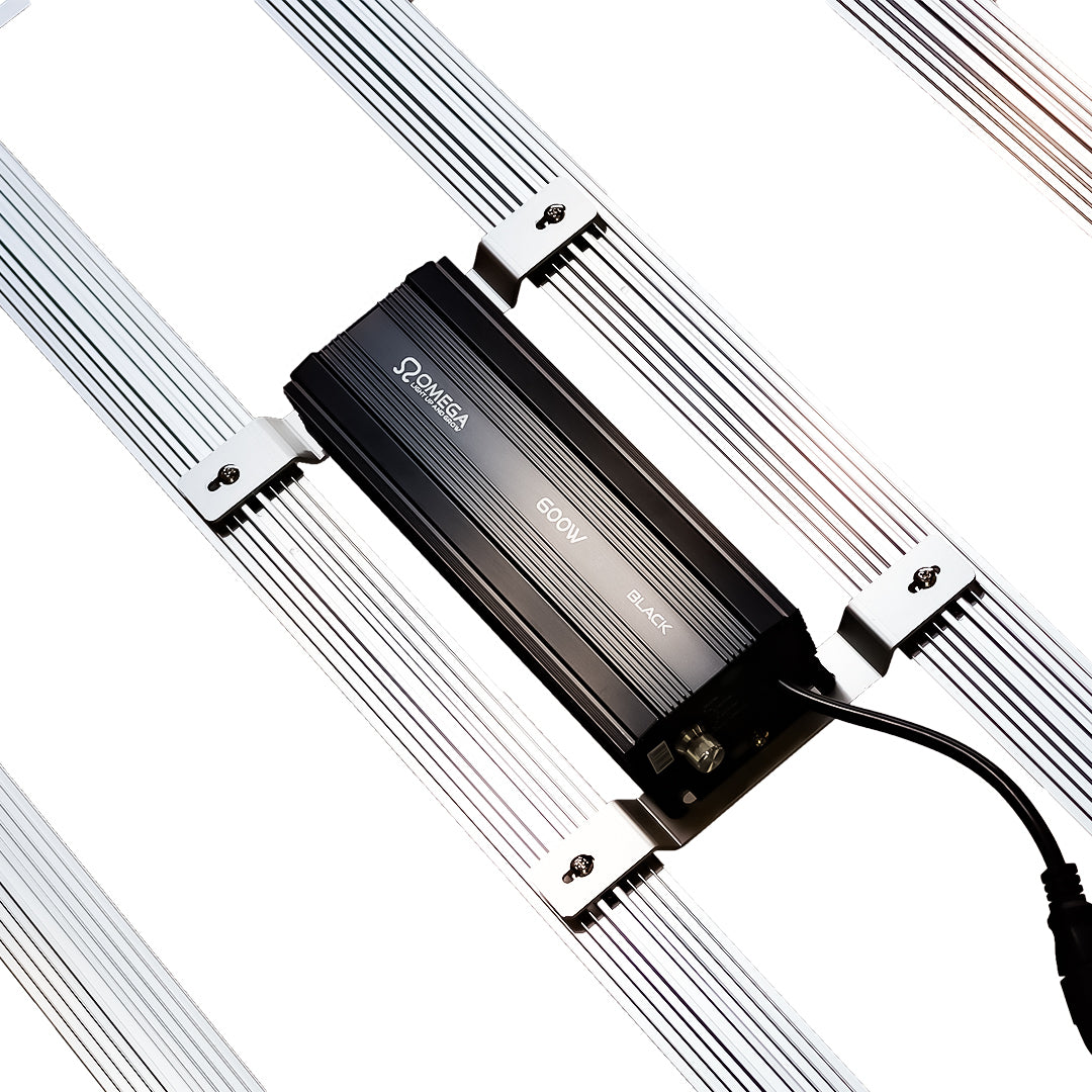 Omega Black 720W LED With Ballast