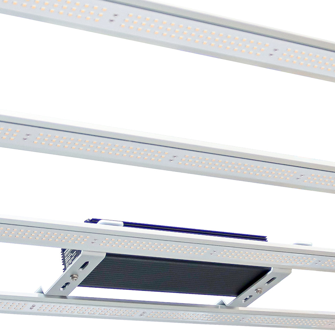 Omega Black 720W LED With Ballast