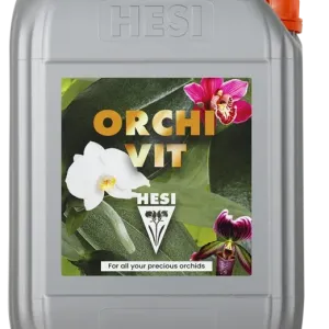 Orchi Vit