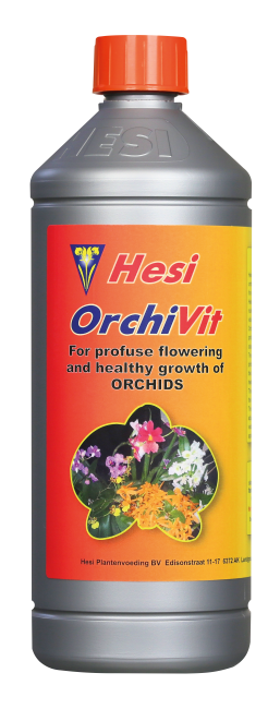 Orchi Vit