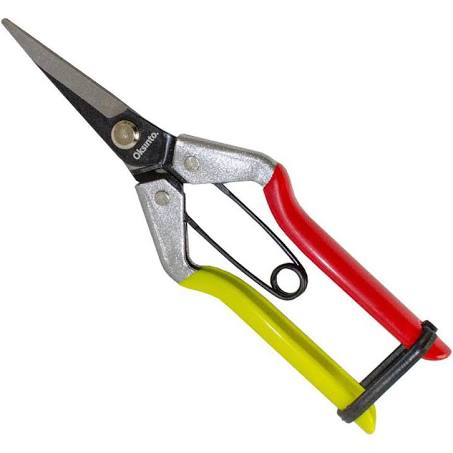 Scissors