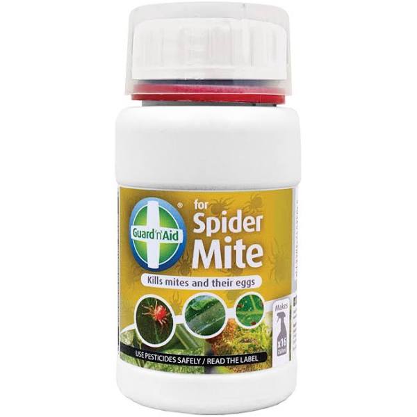 Guard'n'Aid for SpiderMite