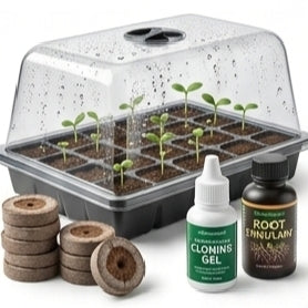 Propagation