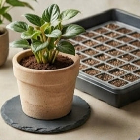Pots, Trays And Saucers
