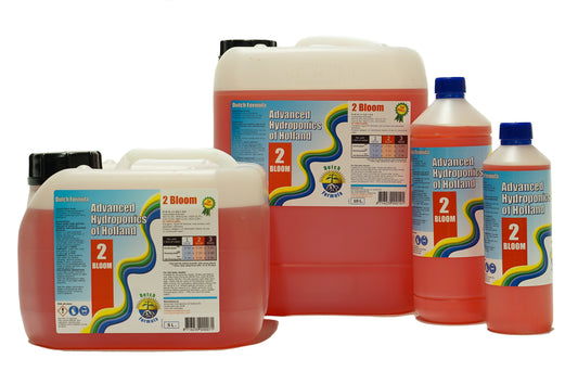 Dutch Formula 2 Bloom