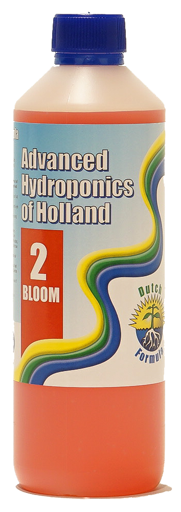 Dutch Formula 2 Bloom