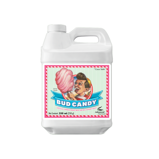 Bud Candy