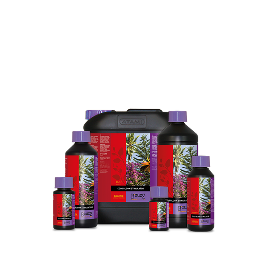 B'cuzz Coco Bloom Stimulator