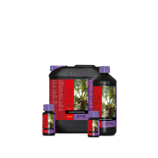 B'cuzz Coco Booster Universal