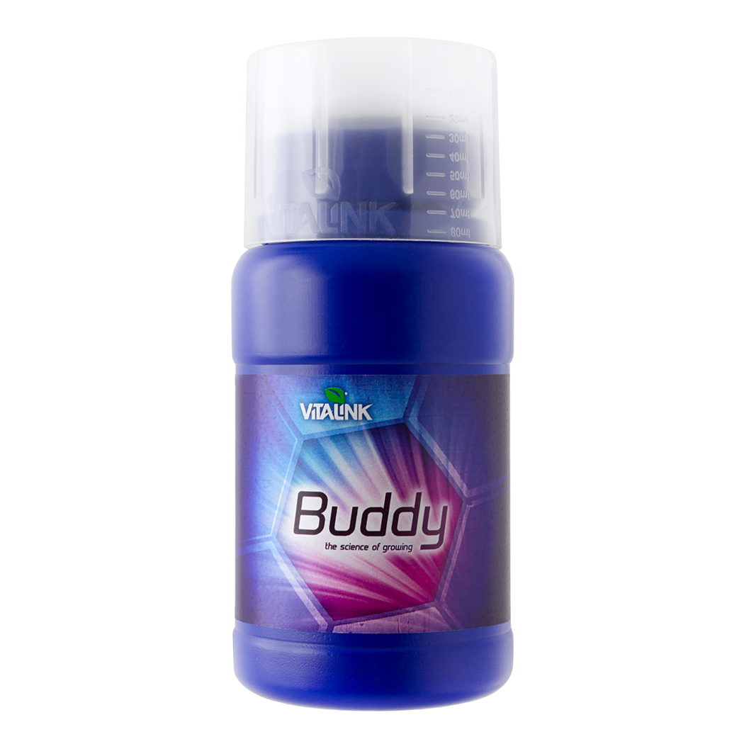 Blue container labeled 'Buddy' with 'Vitalink' branding on a white background