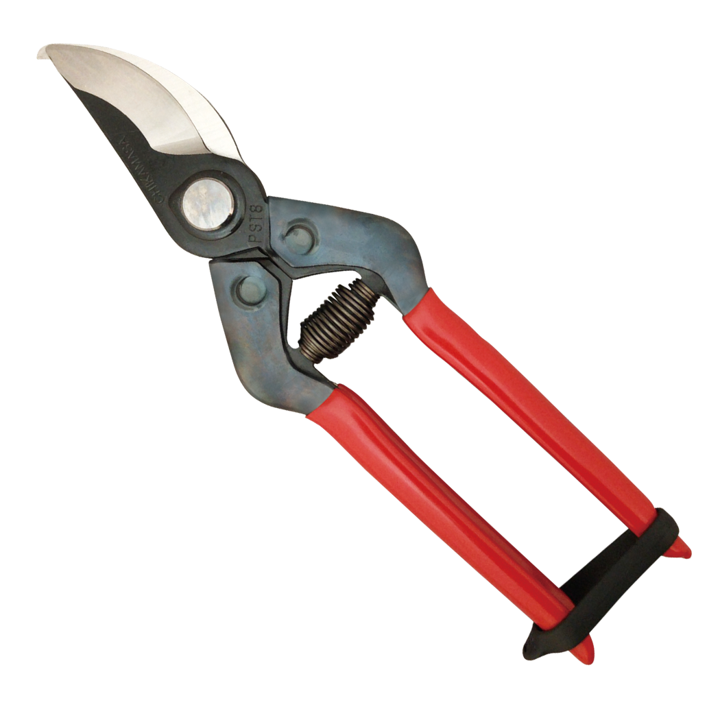 Chikamasa Scissors