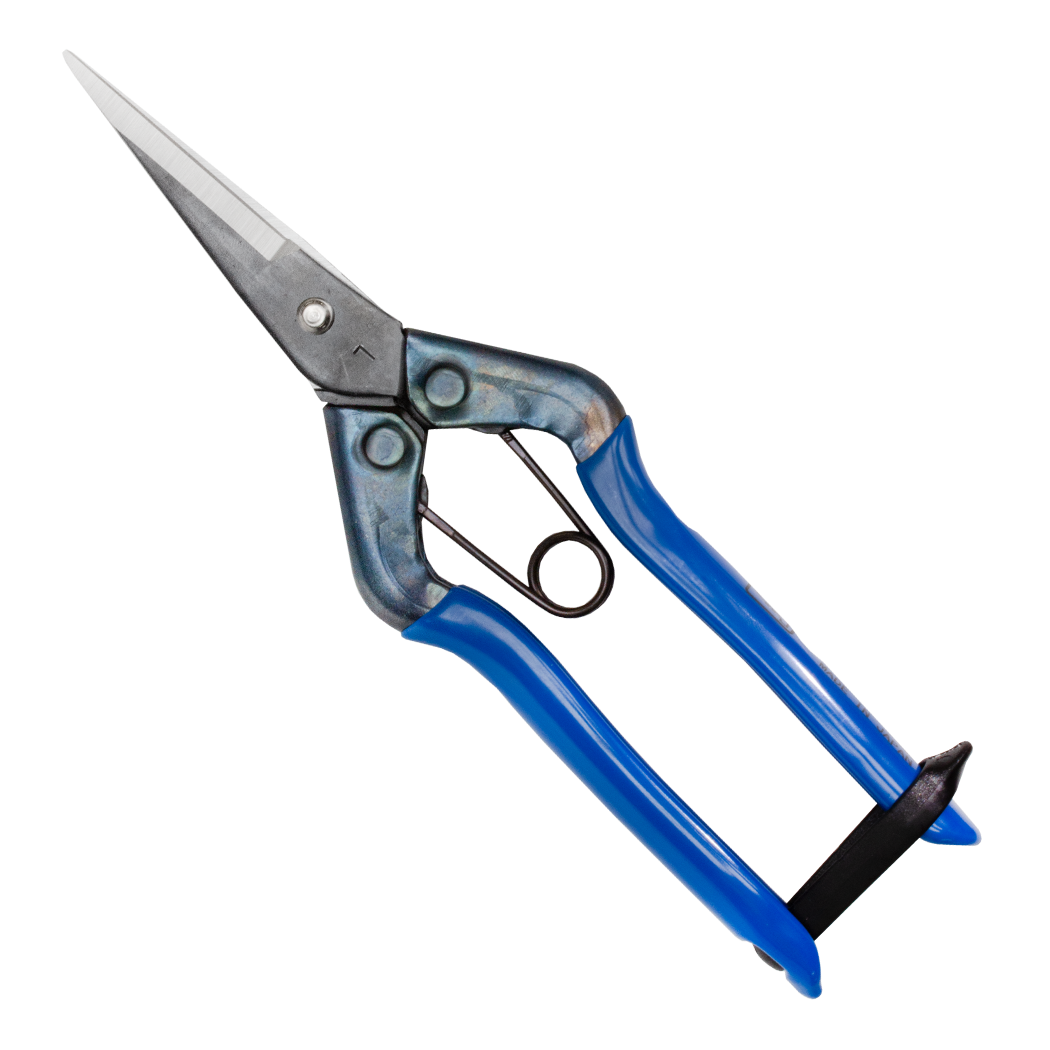 Chikamasa Scissors