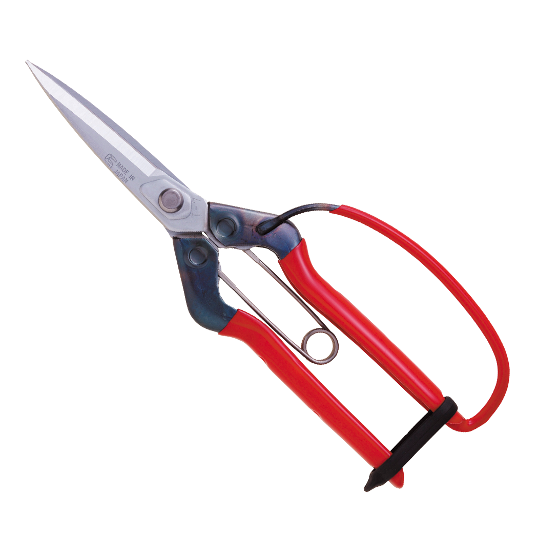 Chikamasa Scissors