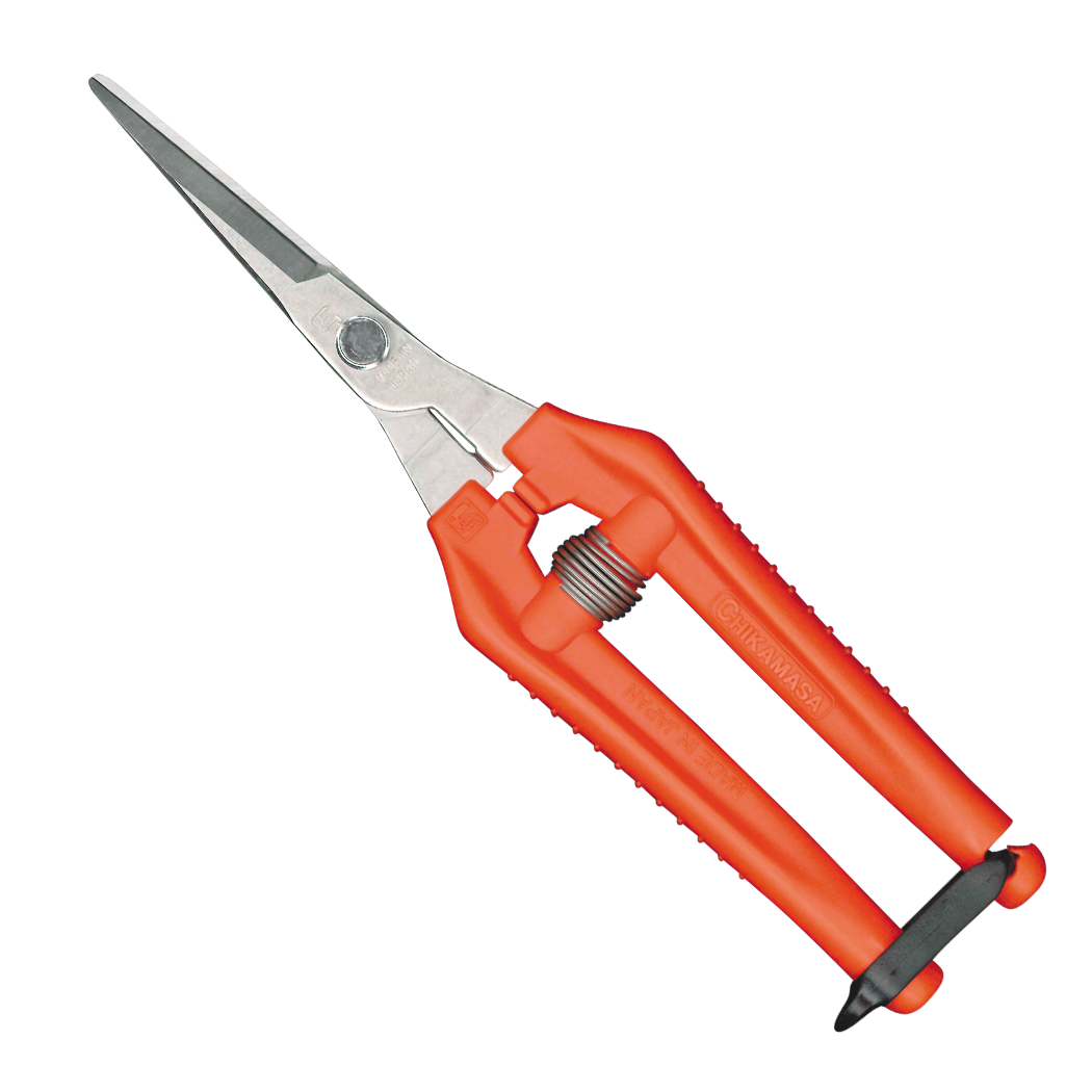 Chikamasa Scissors