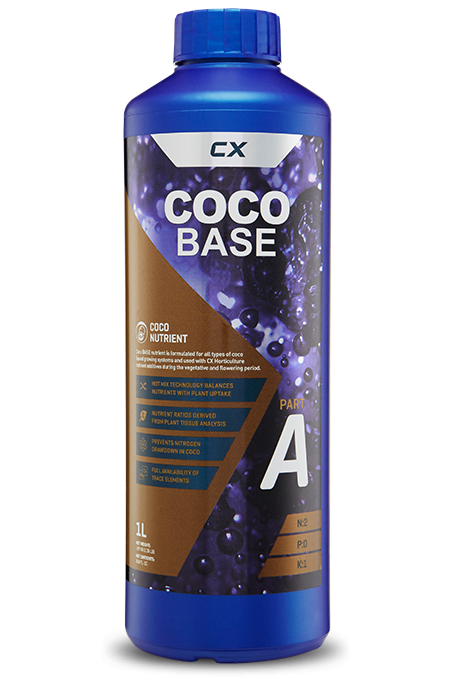 Coco Base A&B