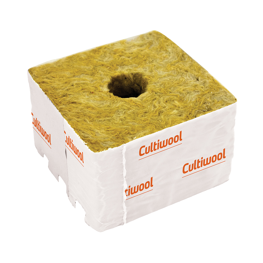 Cultiwool Cubes