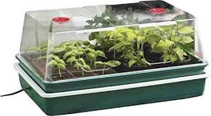 Garland XL High Dome Heated Propagator