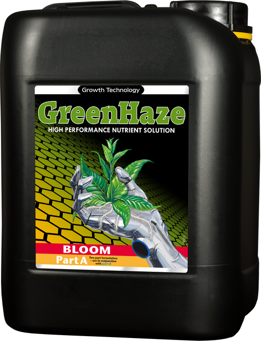 Green Haze Bloom A&B