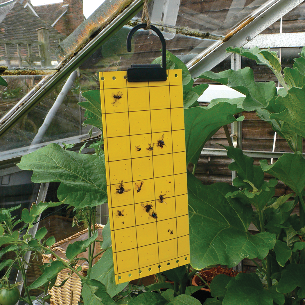 Guard'n'Aid Insect Catcher