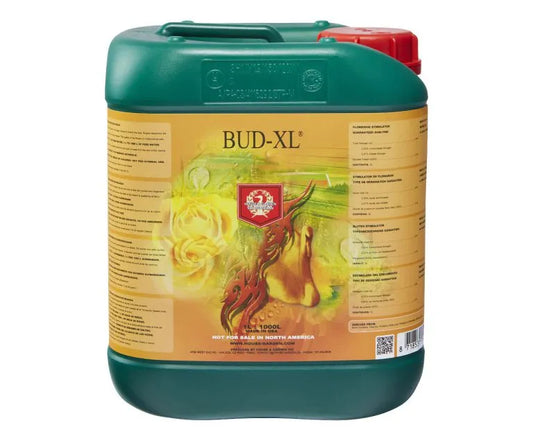 Bud XL