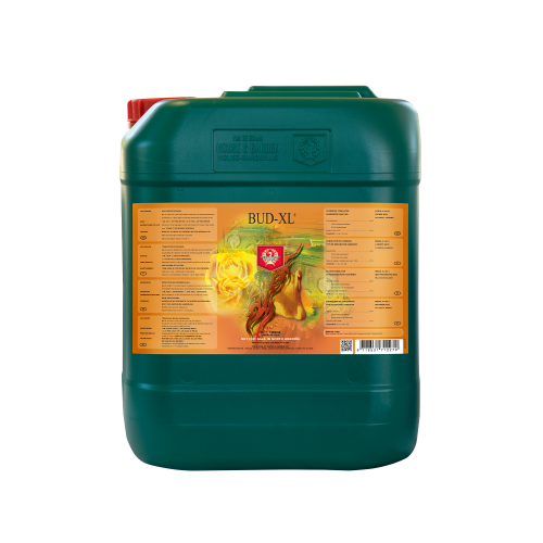 Bud XL