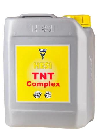 TNT Complex