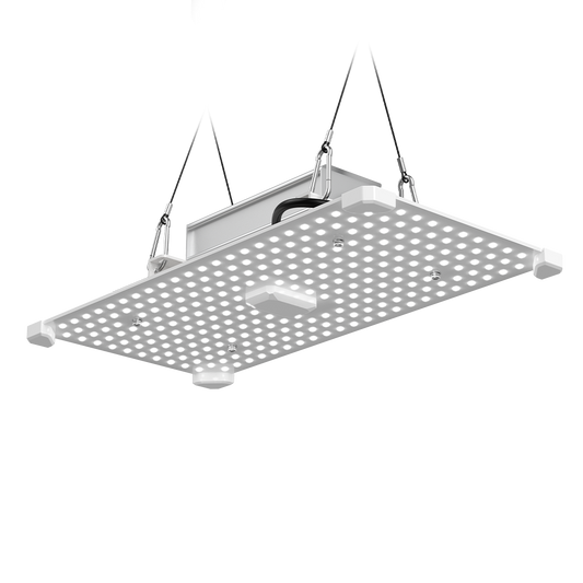 LUMii BLACK Blade 100w LED