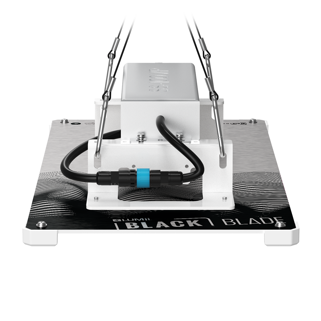 Black Blade router on a white background
