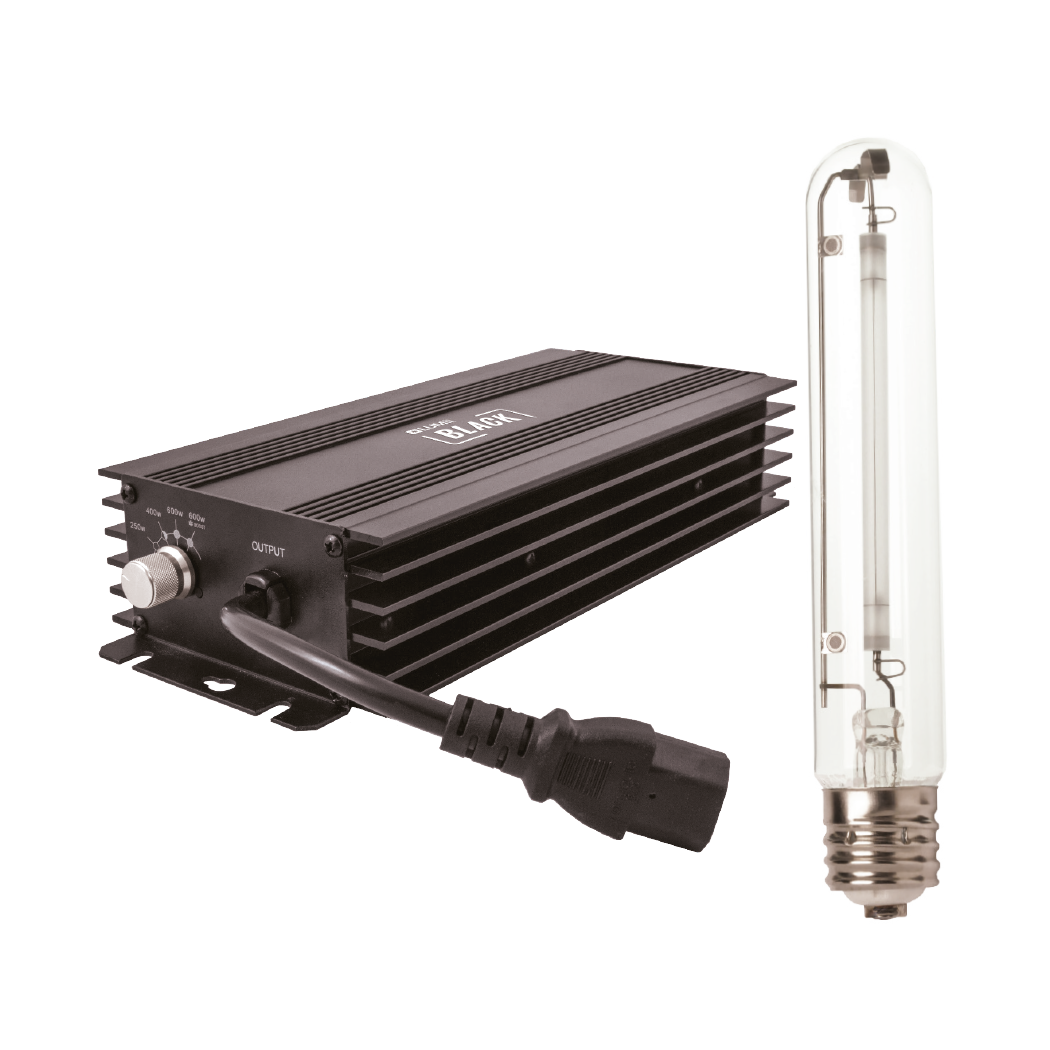 HID light ballast with power cord and clear bulb on a white background
