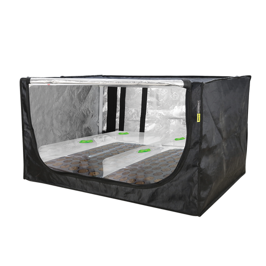 LightHouse CLONE 1 Tent