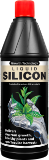 Liquid Silicon